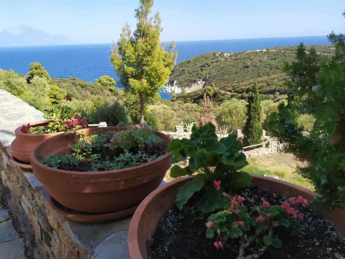Villa Athos 사르티 외부 사진